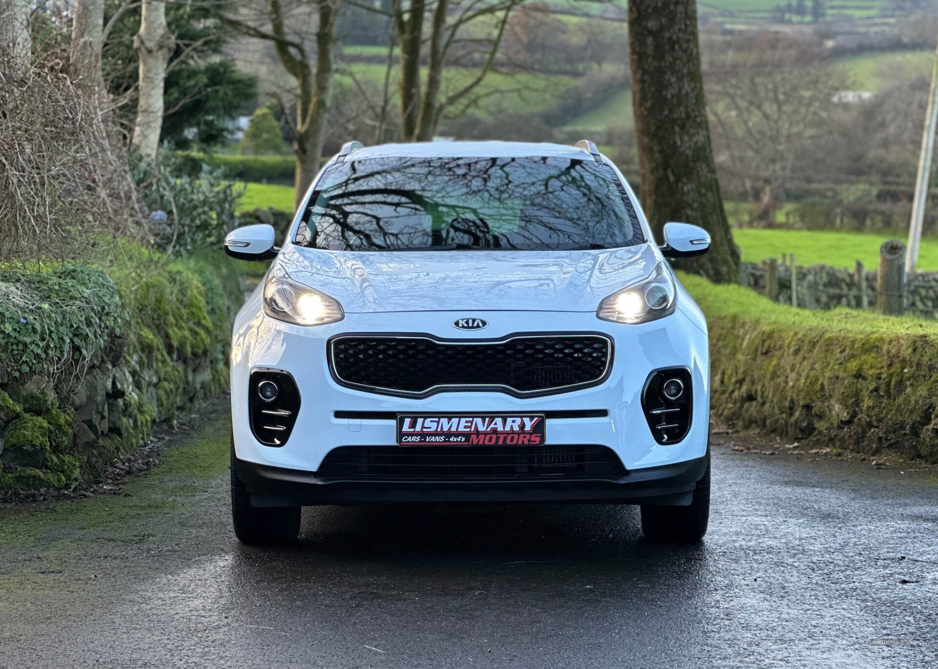 Kia Sportage DIESEL ESTATE in Antrim