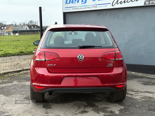 Volkswagen Golf DIESEL HATCHBACK in Tyrone