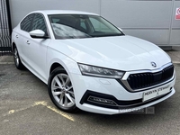 Skoda Octavia HATCH SE L 2.0 TDI 150 PS DSG 2024 in Antrim