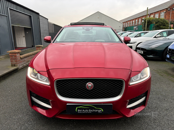 Jaguar XF DIESEL SALOON in Down