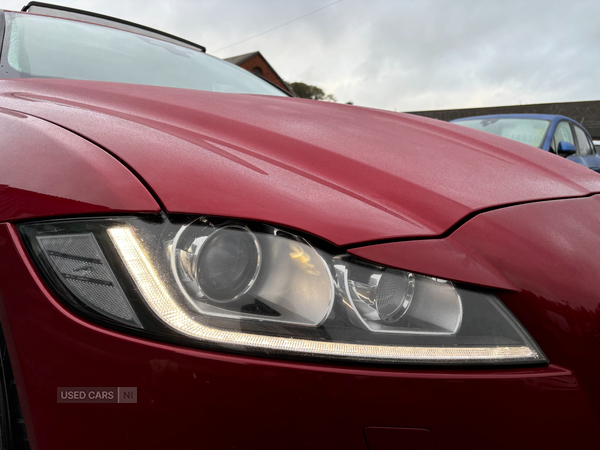 Jaguar XF DIESEL SALOON in Down