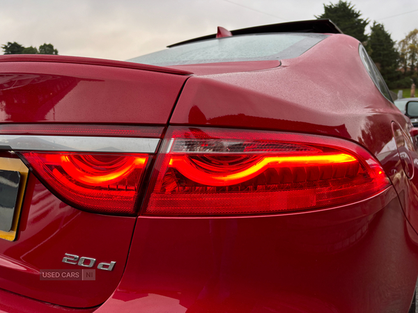 Jaguar XF DIESEL SALOON in Down