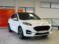 Ford Kuga 2.0 EcoBlue ST-Line X Edition SUV 5dr Diesel Auto AWD Euro 6 (s/s) (190 ps) in Tyrone