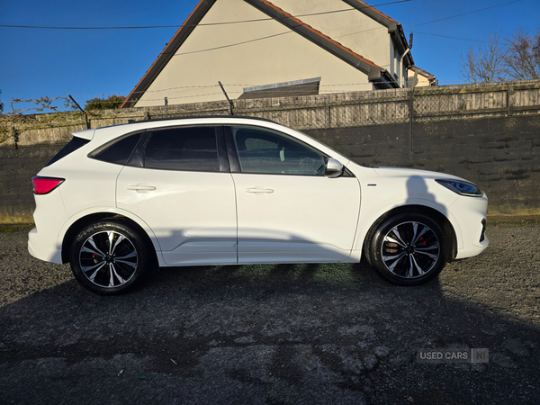 Ford Kuga DIESEL ESTATE in Down