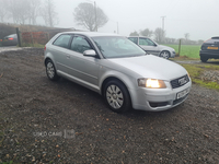 Audi A3 2.0 TDi 3dr DSG in Tyrone