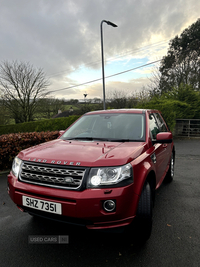 Land Rover Freelander 2.2 TD4 SE 5dr in Derry / Londonderry