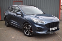 Ford Kuga 1.5 EcoBoost 150 ST-Line X Edition 5dr in Antrim