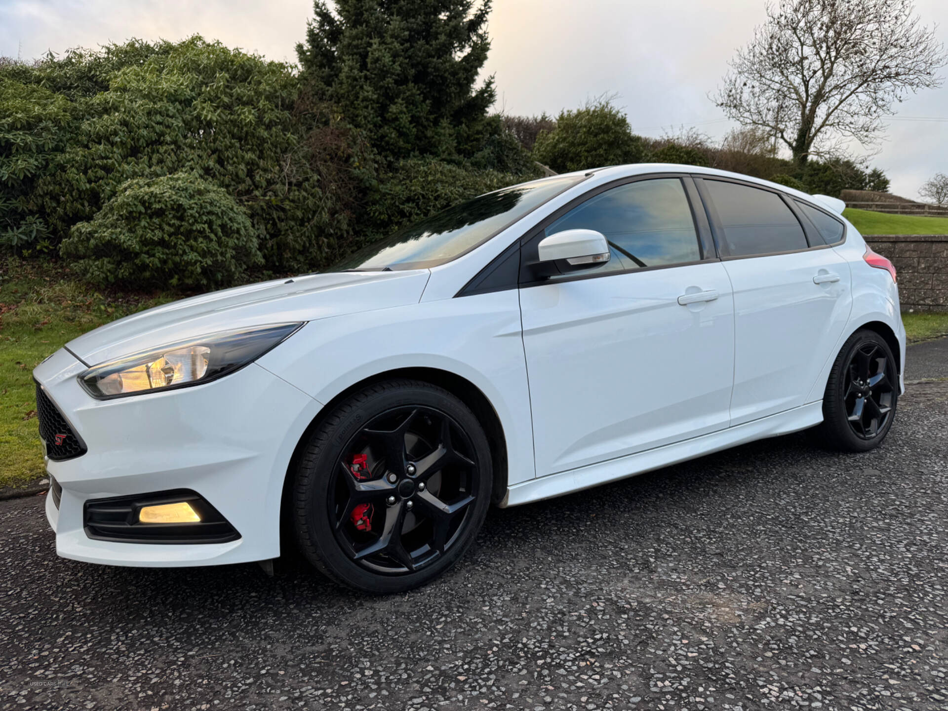 Oct 2016 Ford Focus 2.0 TDCi 185 ST-2 5dr