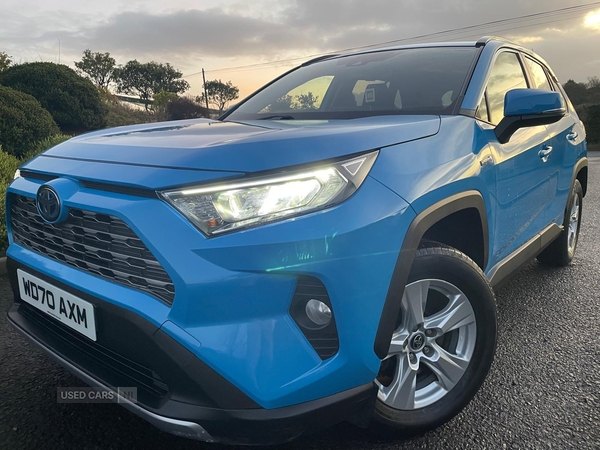 Toyota RAV4 ESTATE in Tyrone