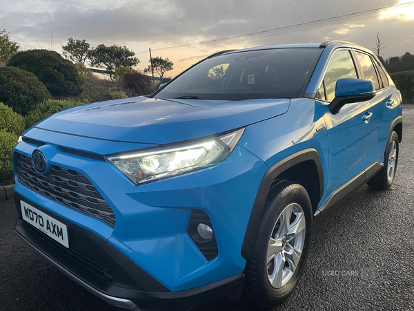 Toyota RAV4 ESTATE in Tyrone