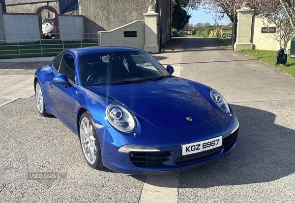 Porsche 911 [991] CARRERA COUPE in Down