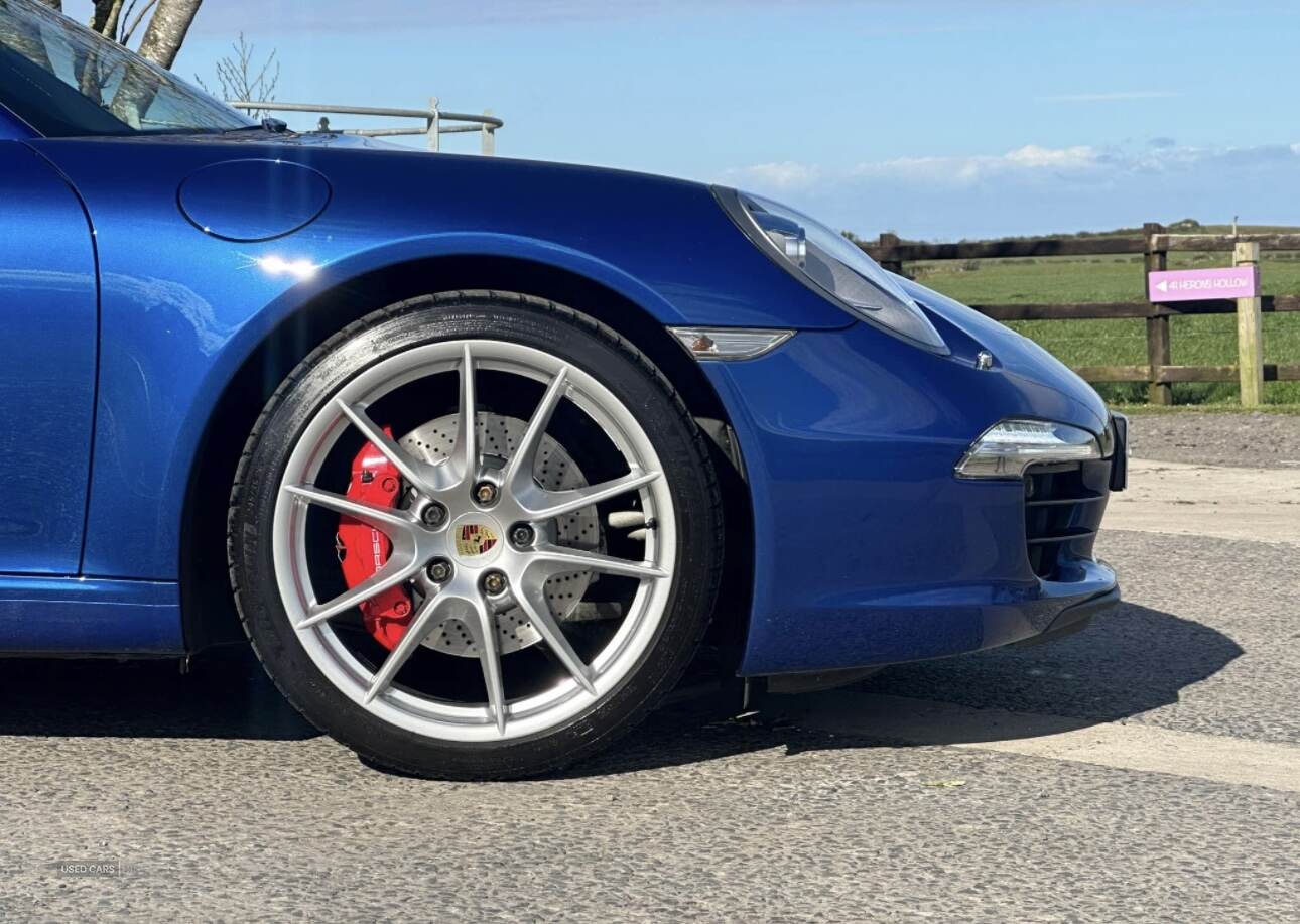 Porsche 911 [991] CARRERA COUPE in Down