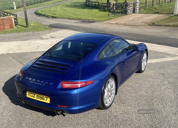 Porsche 911 [991] CARRERA COUPE in Down