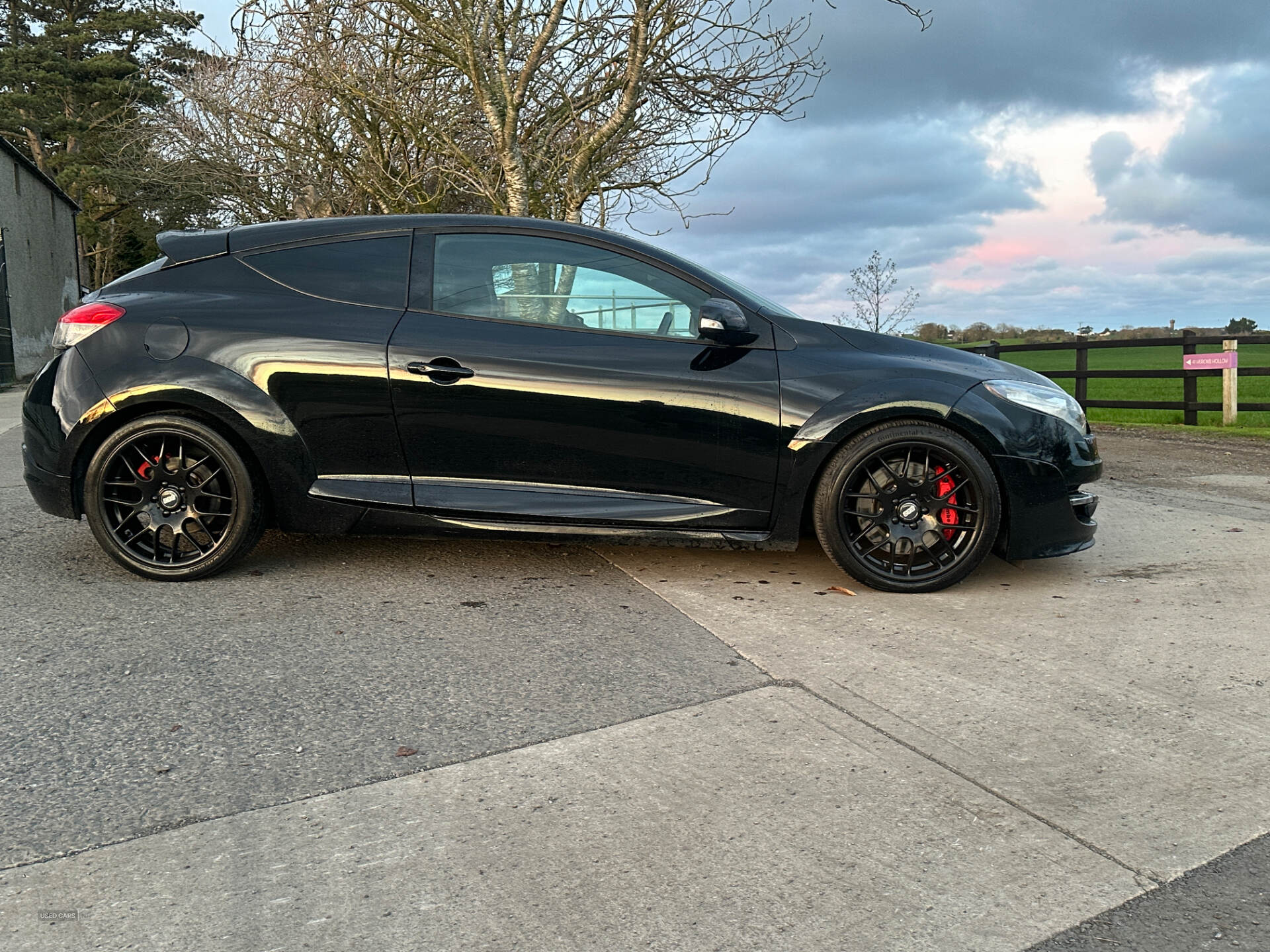 Renault Megane COUPE in Down