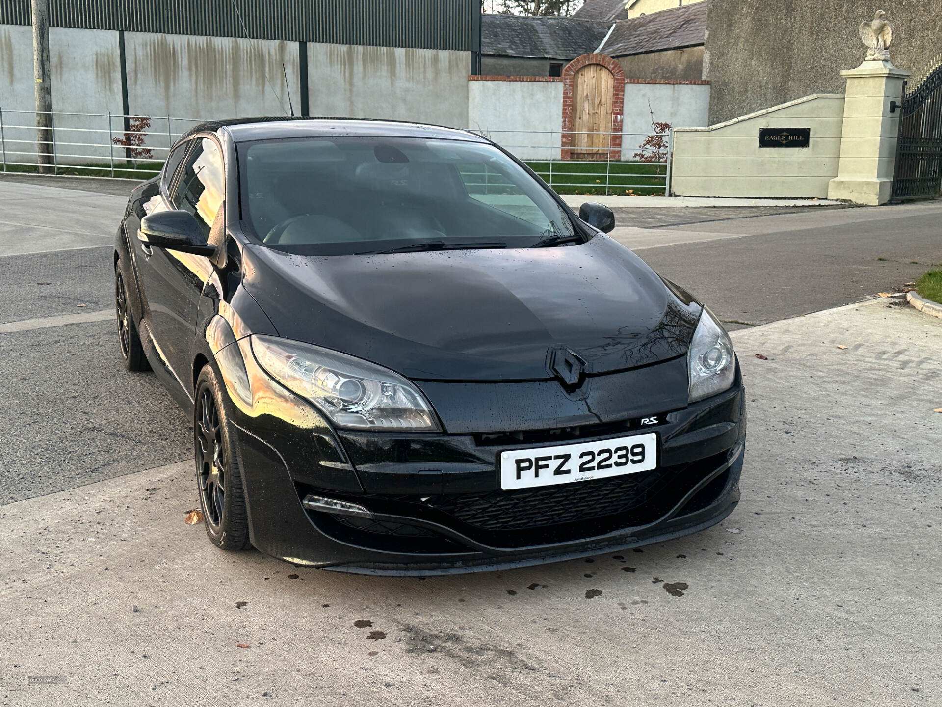 Renault Megane COUPE in Down