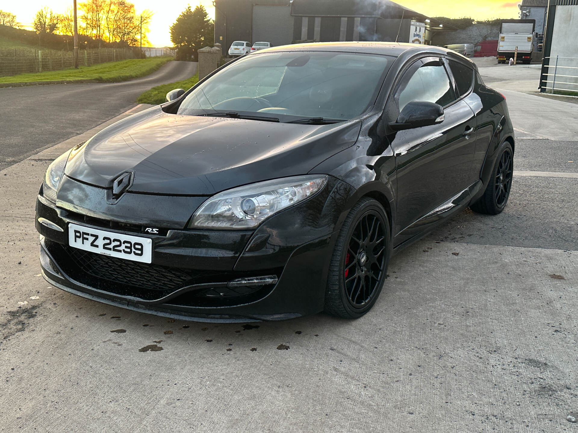 Renault Megane COUPE in Down