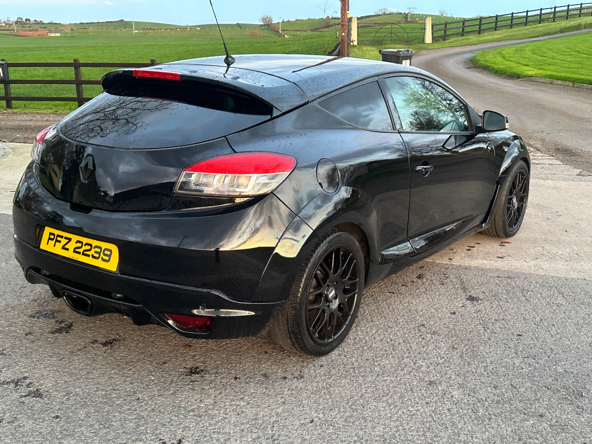 Renault Megane COUPE in Down