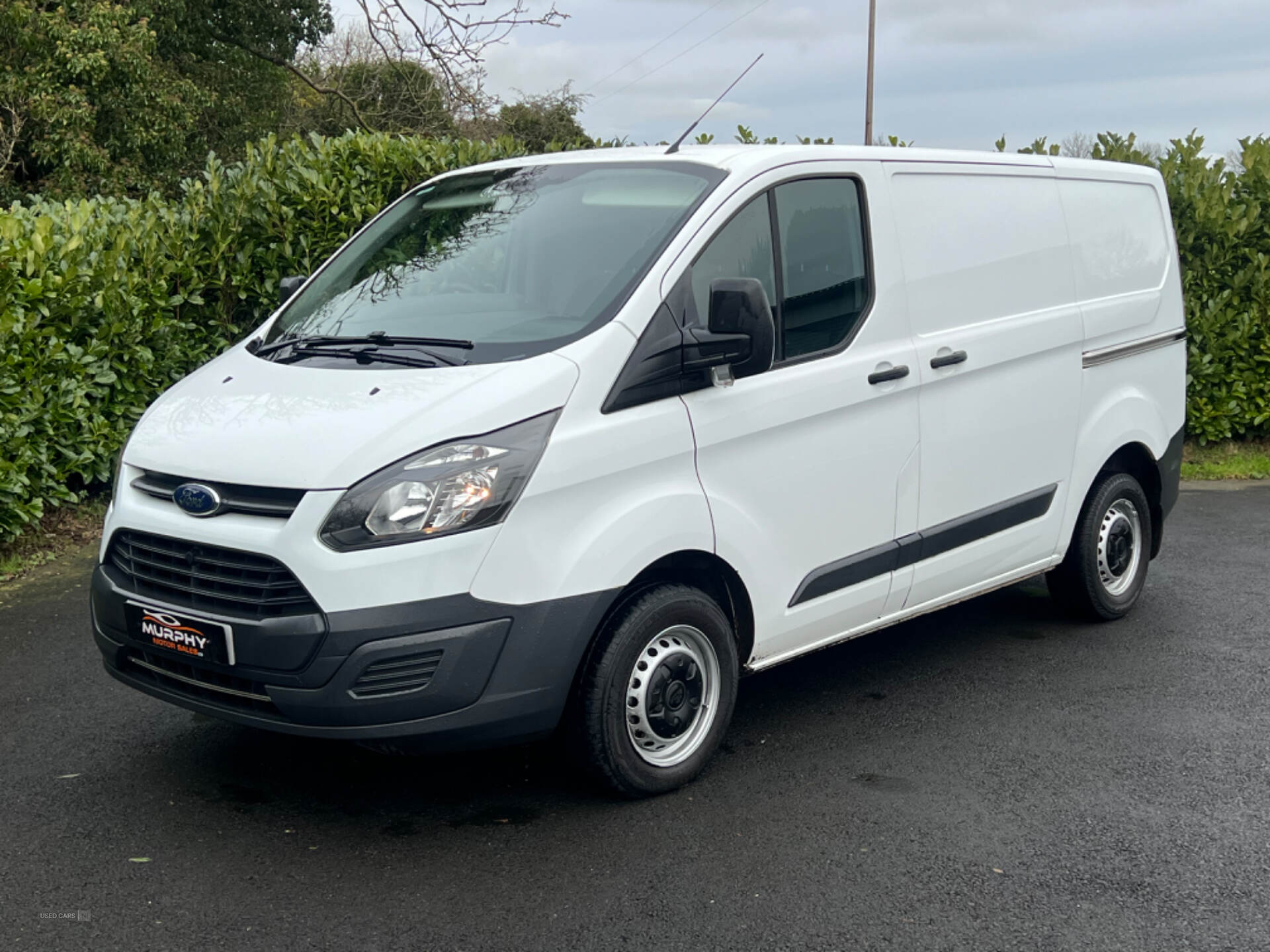 Ford Transit Custom 290 L1 DIESEL FWD in Down