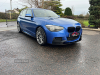 BMW 1 Series DIESEL HATCHBACK in Down