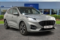 Ford Kuga 1.5 EcoBlue ST-Line X Edition 5dr in Antrim