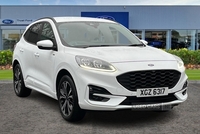 Ford Kuga 2.5 FHEV ST-Line Edition 5dr [AUTO] - NI REG, DOOR EDGE GUARDS, BLIND SPOT MONITOR, REVERSING CAMERA, POWER TAILGATE, KEYLESS GO, ACTIVE PARK ASSIST in Antrim