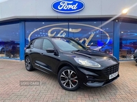 Ford Kuga ST-Line X Edition in Derry / Londonderry