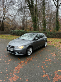 Seat Leon 1.6 TDI SE Dynamic Technology 5dr in Tyrone