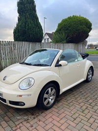 Volkswagen Beetle 1.6 Luna 2dr in Antrim