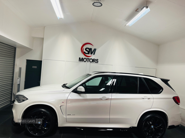 BMW X5 DIESEL ESTATE in Antrim