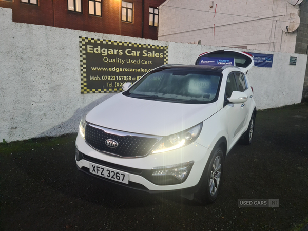 Kia Sportage ESTATE in Down