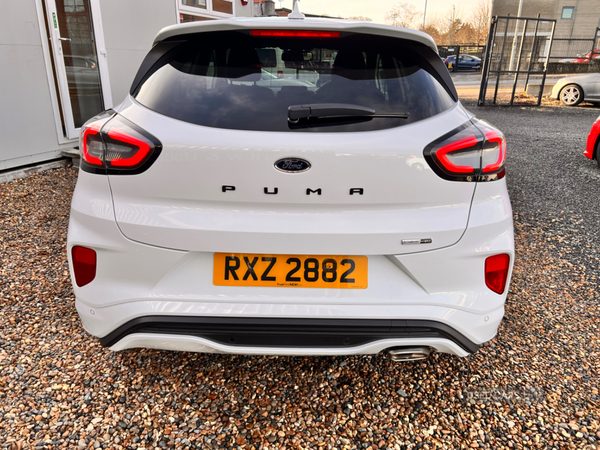 Ford Puma HATCHBACK in Antrim