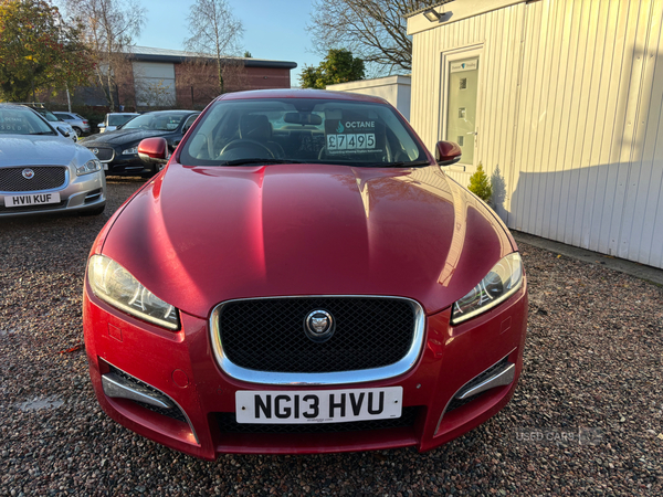 Jaguar XF DIESEL SALOON in Antrim