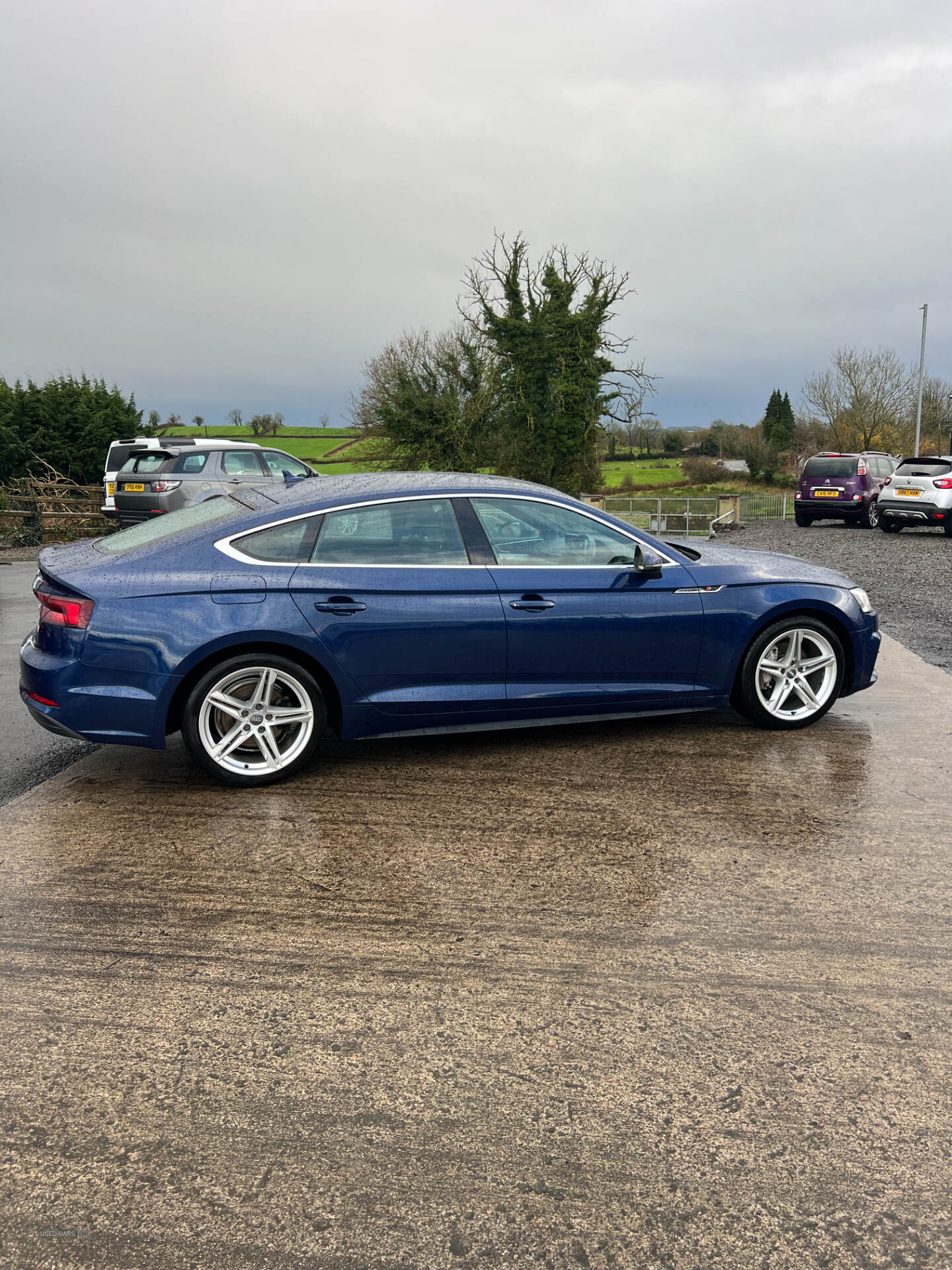 Audi A5 DIESEL SPORTBACK in Fermanagh