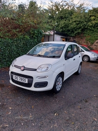 Fiat Panda HATCHBACK in Down