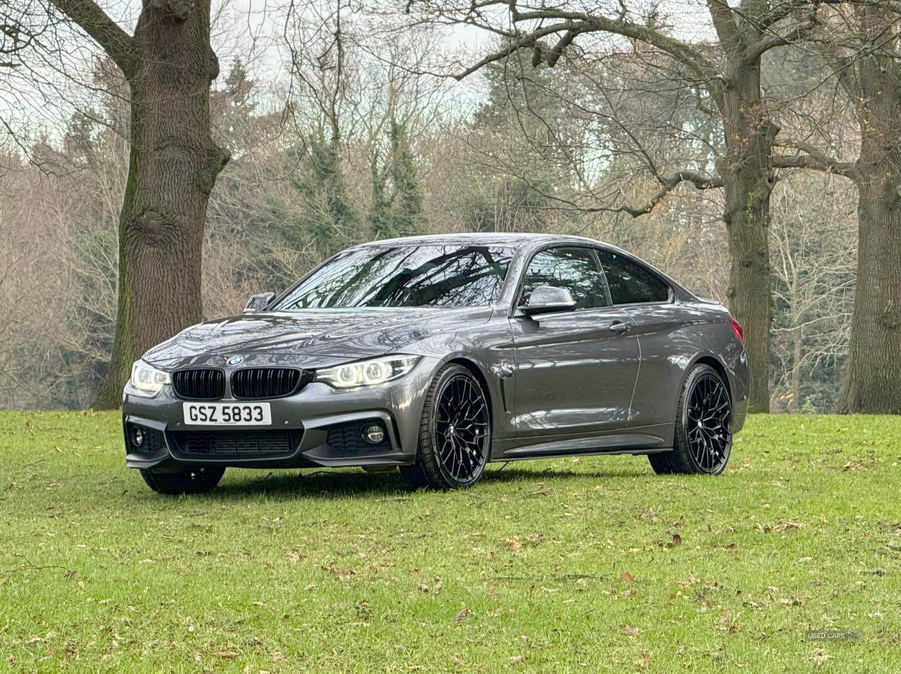 BMW 4 Series DIESEL COUPE in Armagh