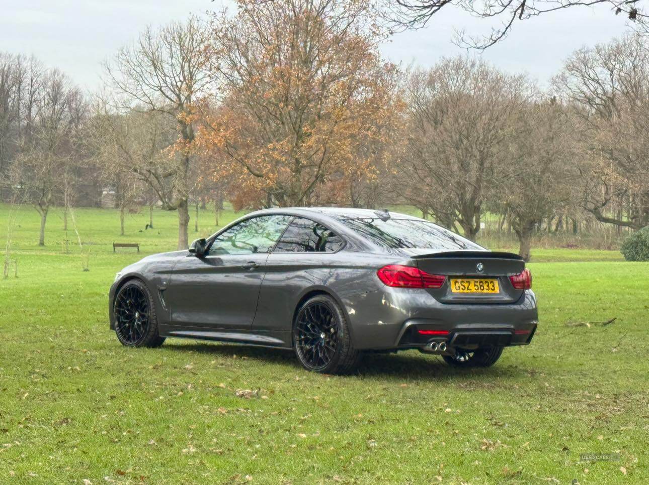 BMW 4 Series DIESEL COUPE in Armagh