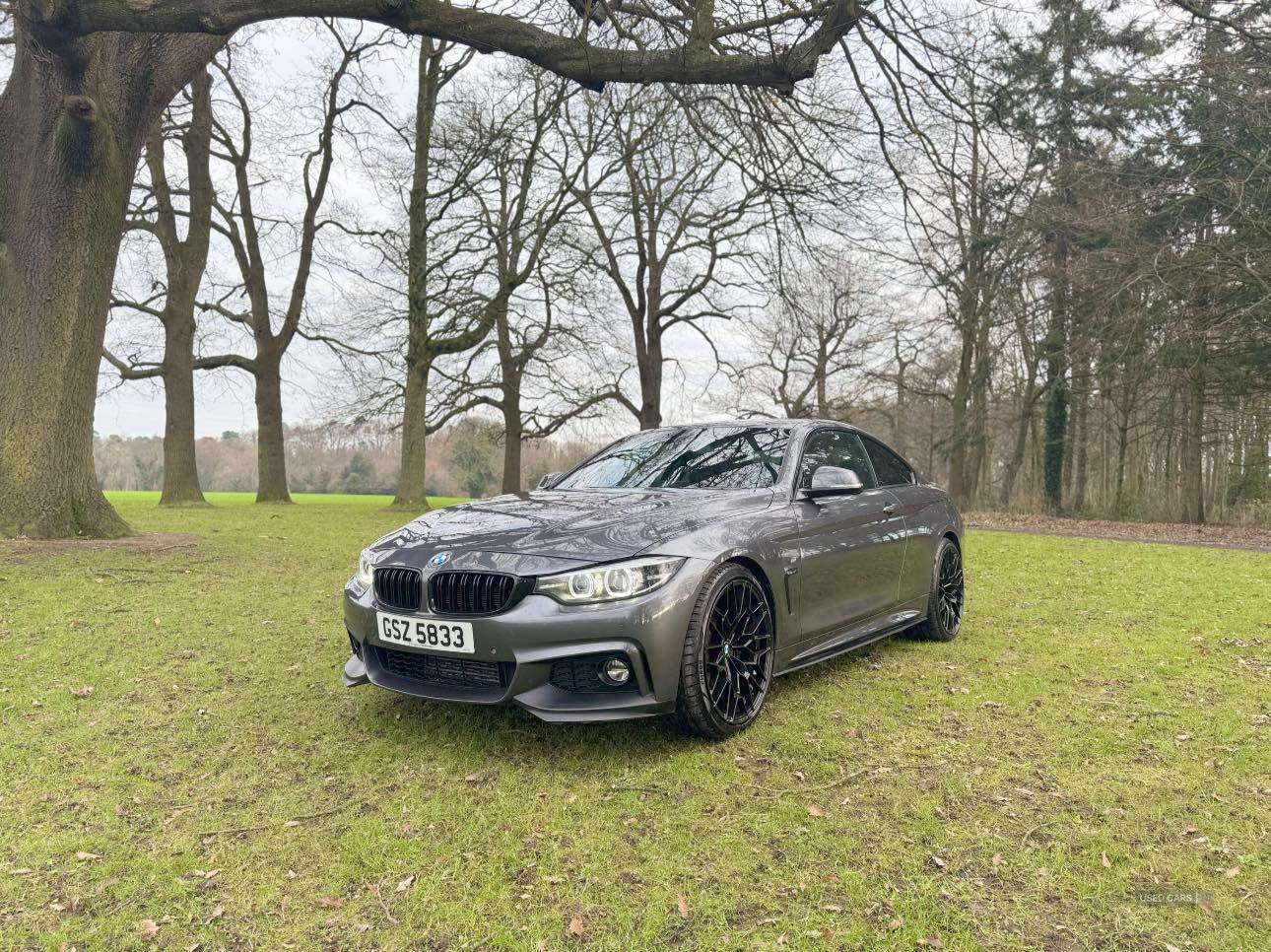 BMW 4 Series DIESEL COUPE in Armagh