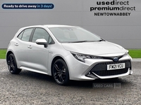 Toyota Corolla 1.8 Vvt-I Hybrid Icon Tech 5Dr Cvt in Antrim