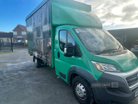 Fiat Ducato 35 MAXI LWB DIESEL in Down