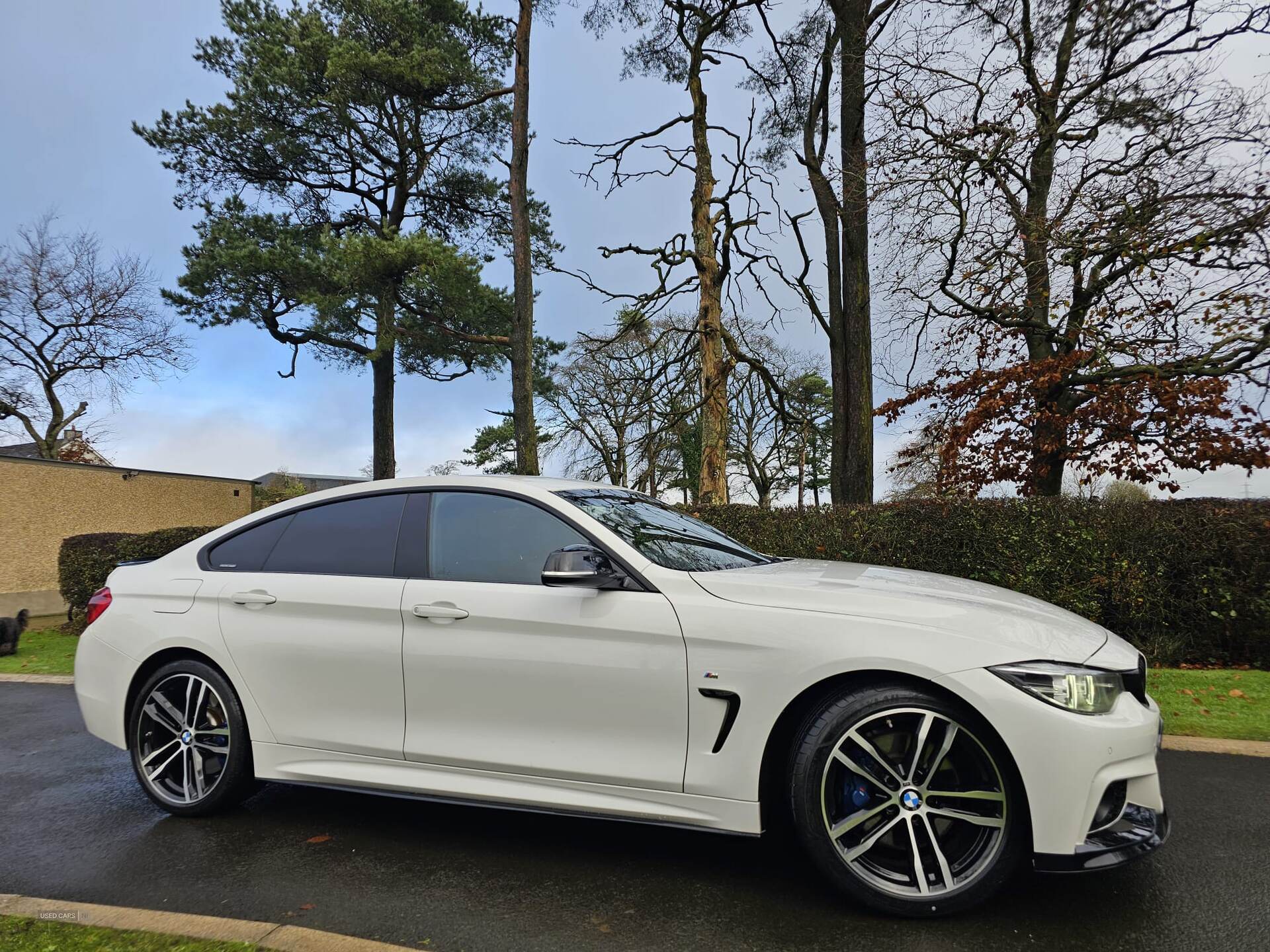 Sep 2017 BMW 4 Series 420d [190] xDrive M Sport 5dr Auto [Prof Media]
