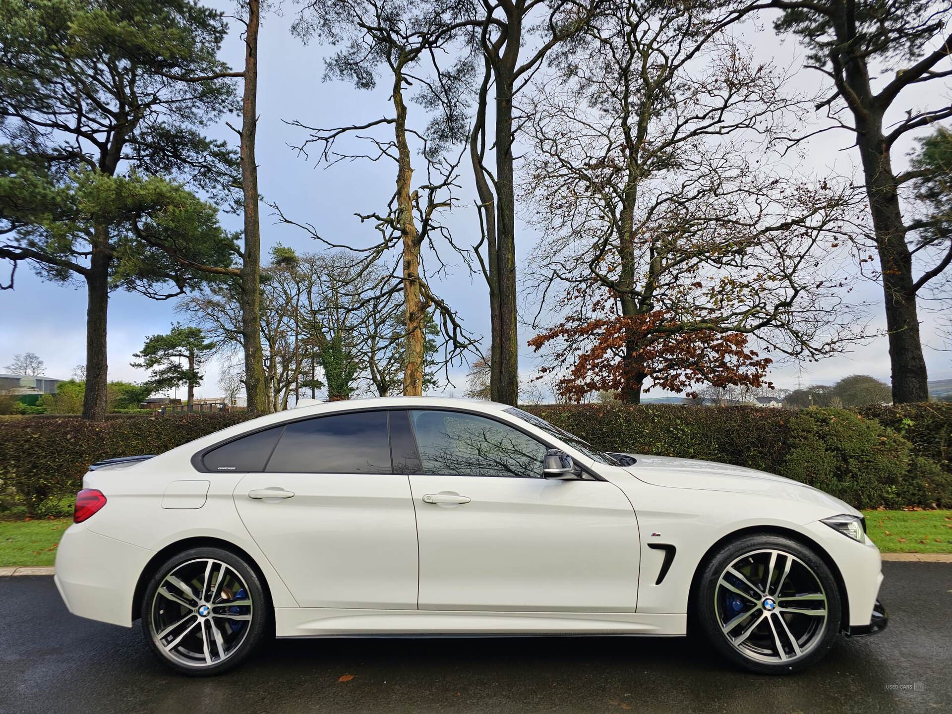 Sep 2017 BMW 4 Series 420d [190] xDrive M Sport 5dr Auto [Prof Media]