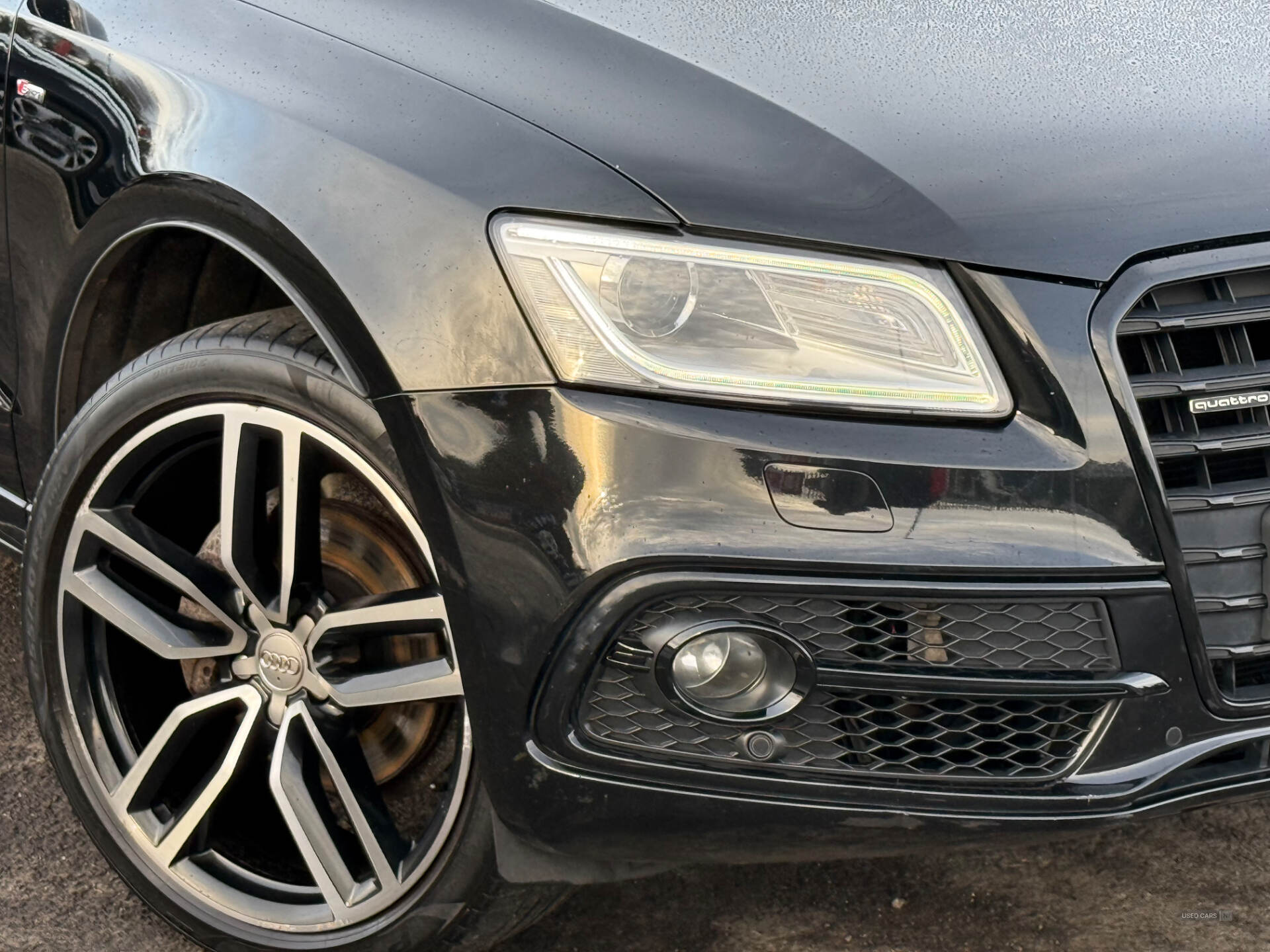 Audi Q5 ESTATE SPECIAL EDITIONS in Down