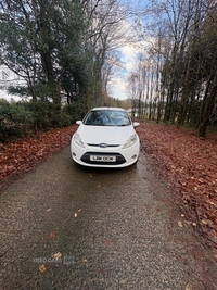 Ford Fiesta 1.4 TDCi [70] Zetec 5dr in Antrim