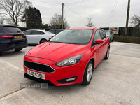 Ford Focus HATCHBACK in Armagh