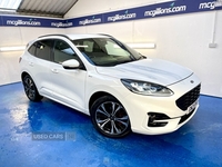 Ford Kuga DIESEL ESTATE in Tyrone