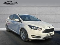 Ford Focus 1.0T EcoBoost Zetec Euro 6 (s/s) 5dr in Down