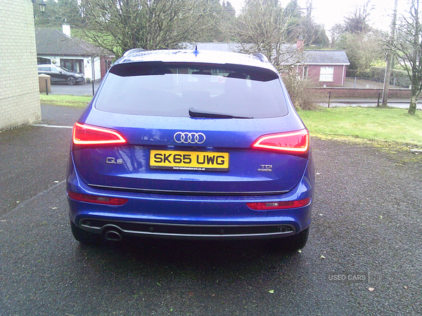 Audi Q5 ESTATE SPECIAL EDITIONS in Fermanagh