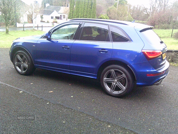 Audi Q5 ESTATE SPECIAL EDITIONS in Fermanagh