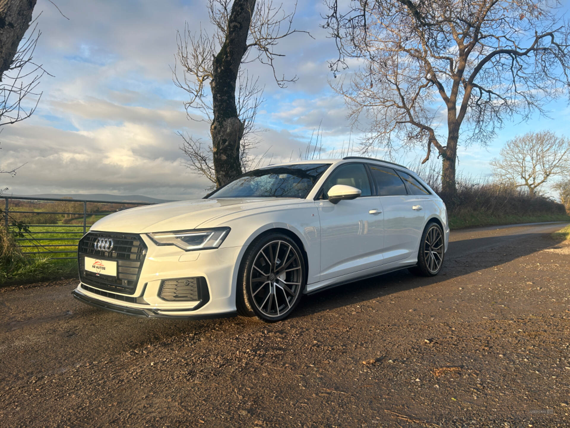 Audi A6 DIESEL AVANT in Tyrone