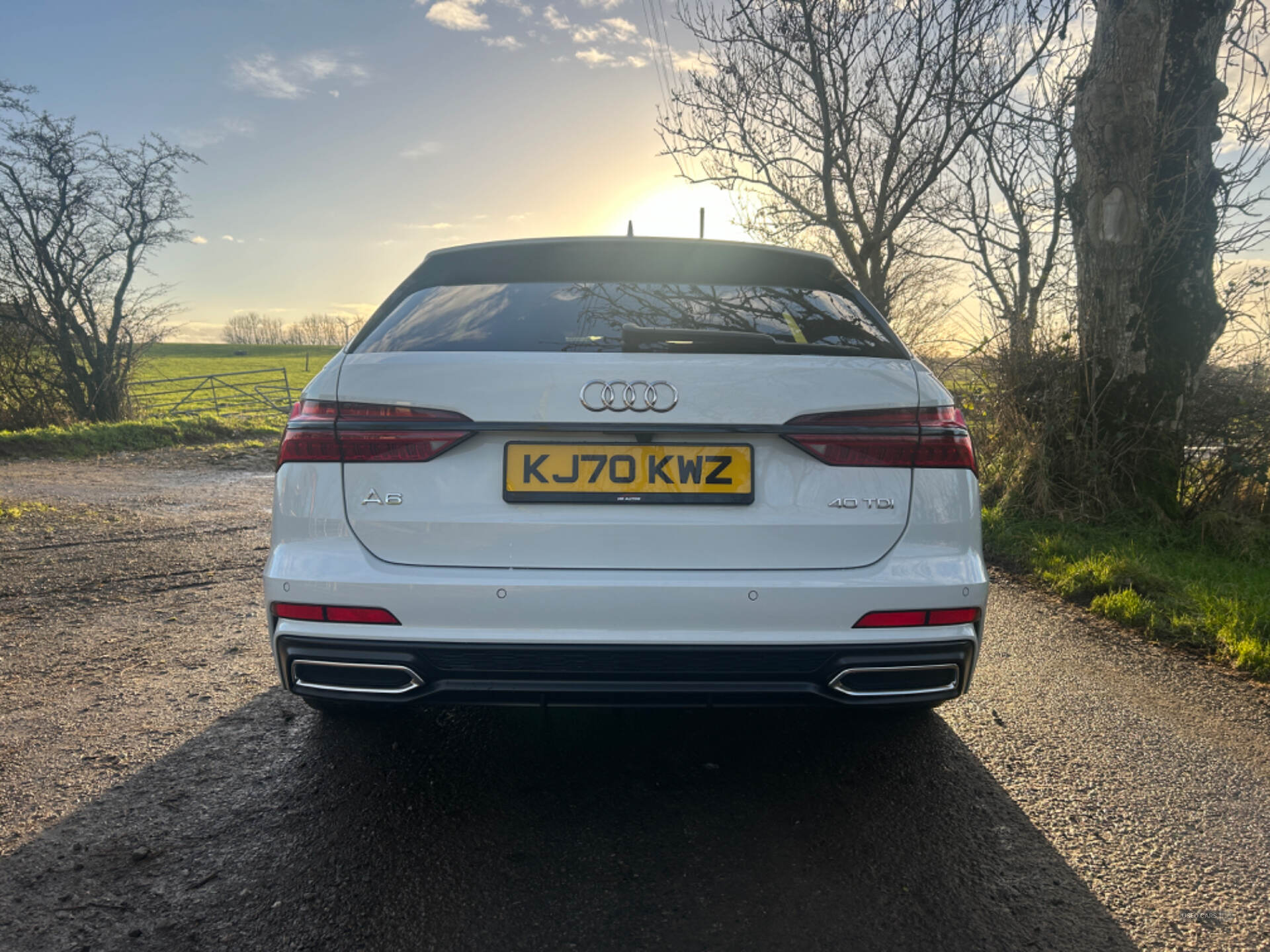 Audi A6 DIESEL AVANT in Tyrone